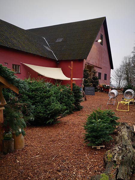 stougaarden-juletraer-54